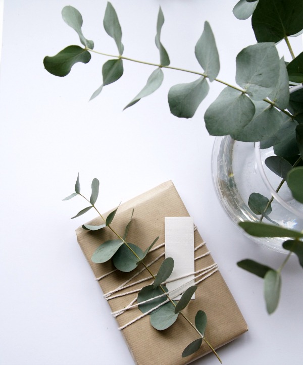 emballages cadeaux faits main craft et eucalyptus